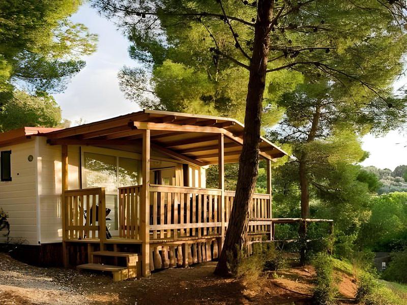 EEAA587FC4823BC0C5D03F3E627A7145