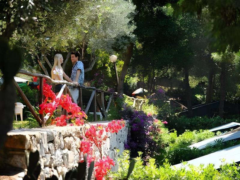 B15117D881F205EE12E2070A7D658507