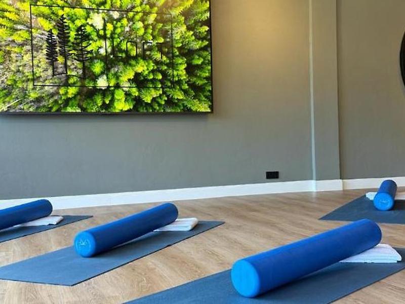 F8730C31E5B8B02DFC340A37E552E32A