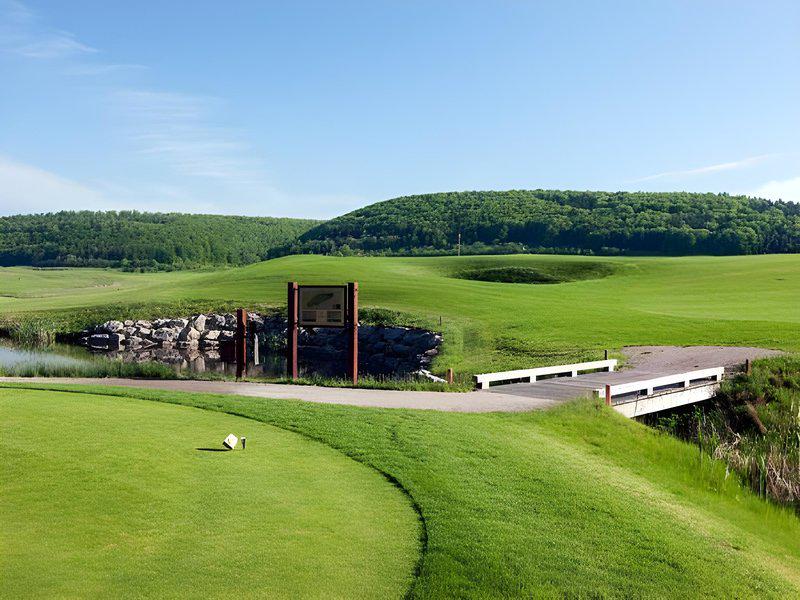 EB88B641C1F97EA20439BDF874E6FC8E