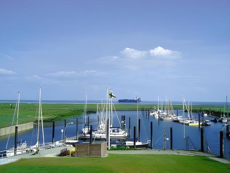 BB2E9CC619B4312C4813191D1BD1F977