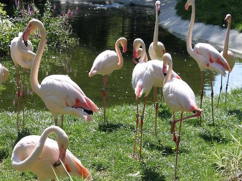 9251560AC90ADDDECCB3CDAE2F82B9B0