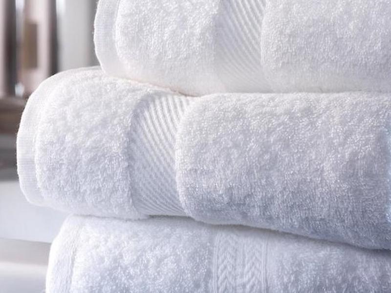 A1255BEE21C3533C11ED33E44601623A