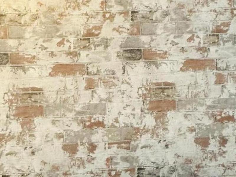 E9FBC3B81D494387D5C6826BFB5ABAA3