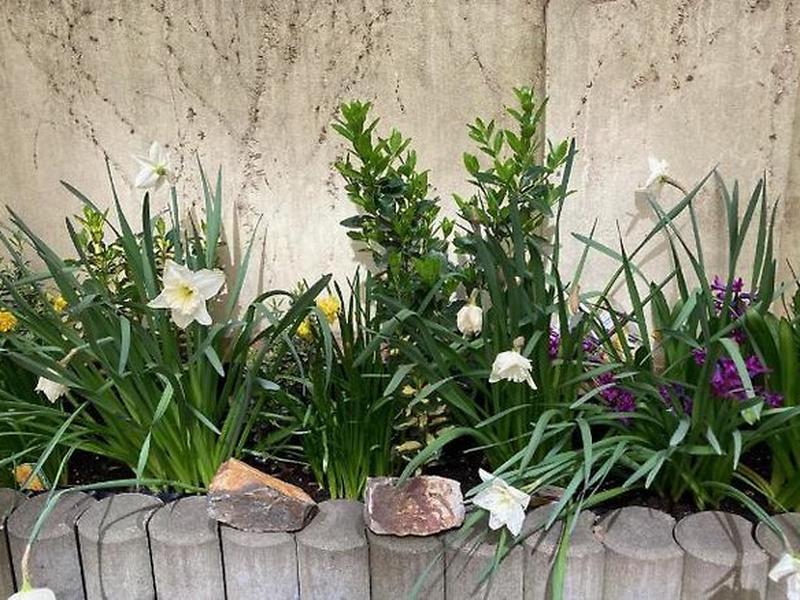 330ACFD389F2728DE7BBC902CBEF2FEE