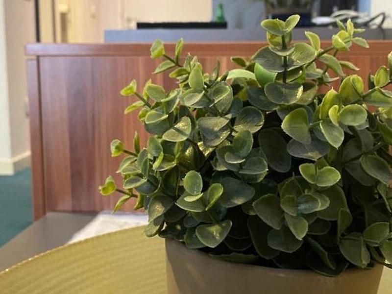 1A4039E1C1BFFDA3F76433513E83412C