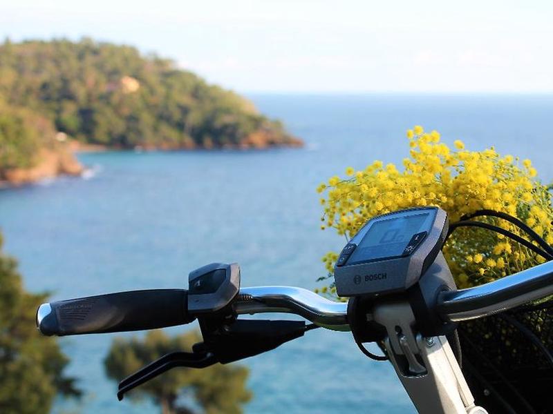 AF2700A1C1BC2B6DB4E8636275DD2AF2