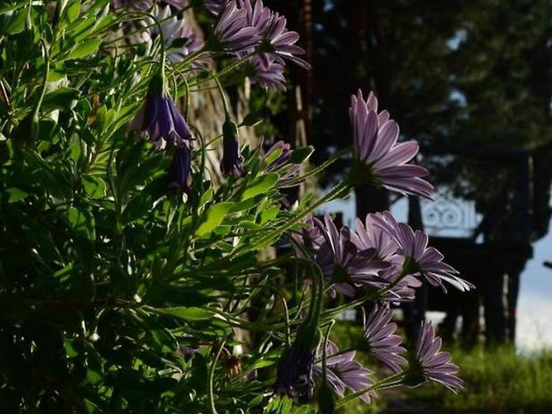 15F4F31248AF43D1B5EBADDCCC459BC7