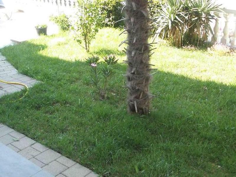 6822FA83D3289C240659C0A3194778E5