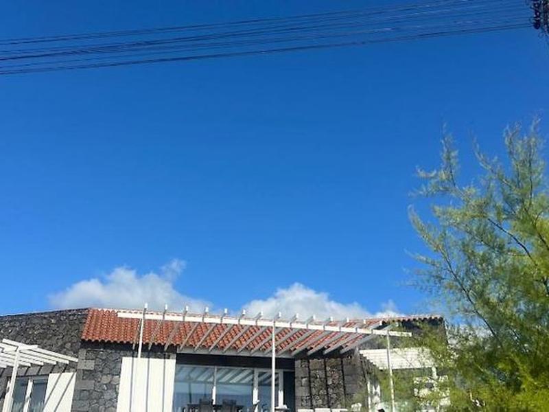 0F1C3E086F5554F6E5F86E521B0B7203