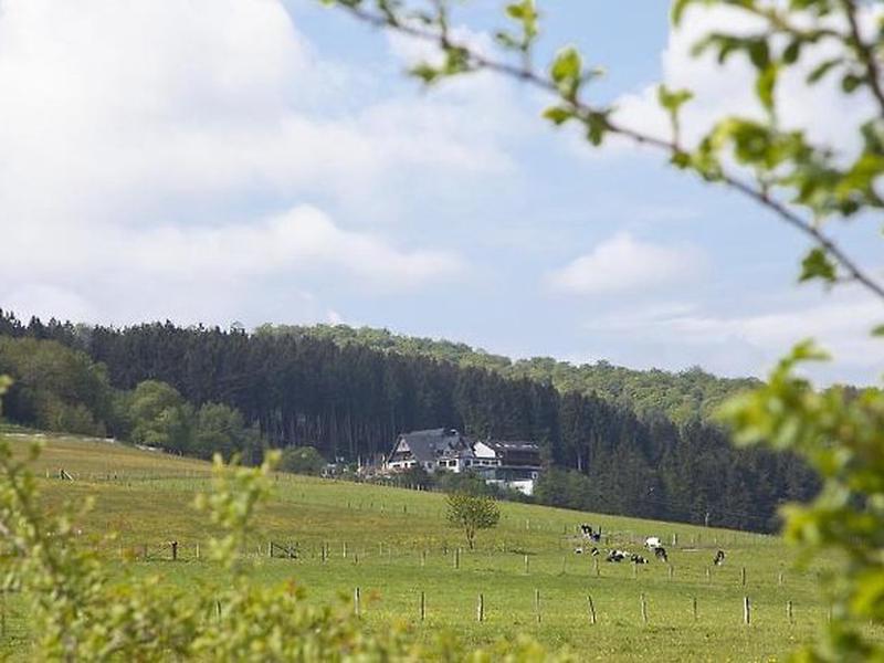 941F6C2B4A86334CE47A8DCD518B67E0