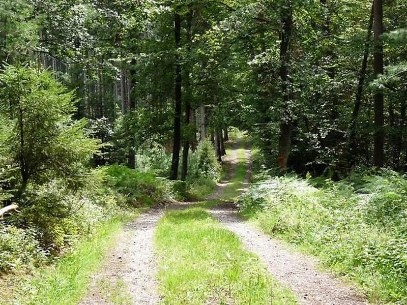 E9815A6751617E69A111B71B5661AEF9