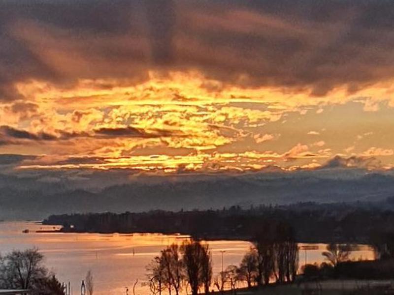 D34AE3F2AB884F14D9C847E7F27AA9B1