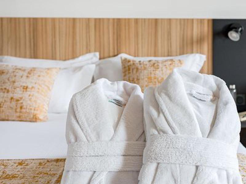 Quality Suites Lyon 7 Lodge