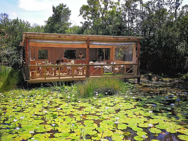 Forest Edge - Nature Lovers' Retreat