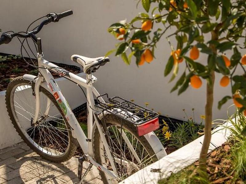 D2391524D58D7A2A93B85770F06D7F69