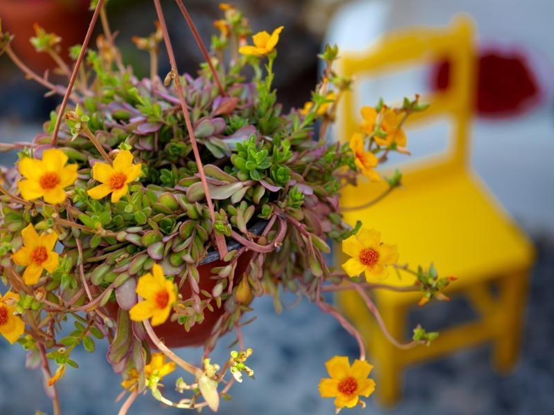 5A710047F4EAF2831C4A0E7B09AE221C