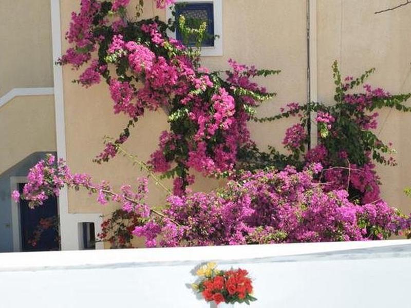 8ACDD68BB3F88FB2797F16F6812807AA