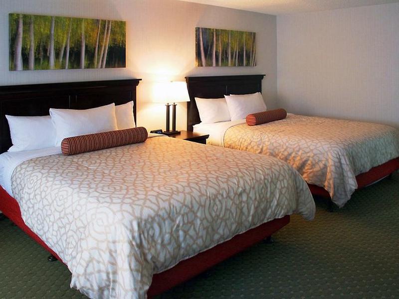 7E50C8A5DC37119E718BBC8A9AFD1C38