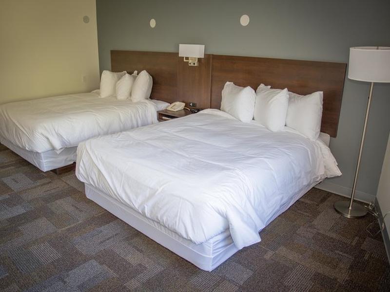 F319E59573902EE31AD784E36CBB479F