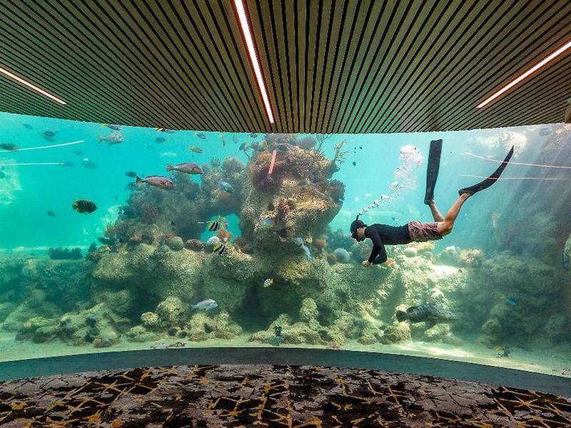 137CE108B3778517885A00C45E0119BD