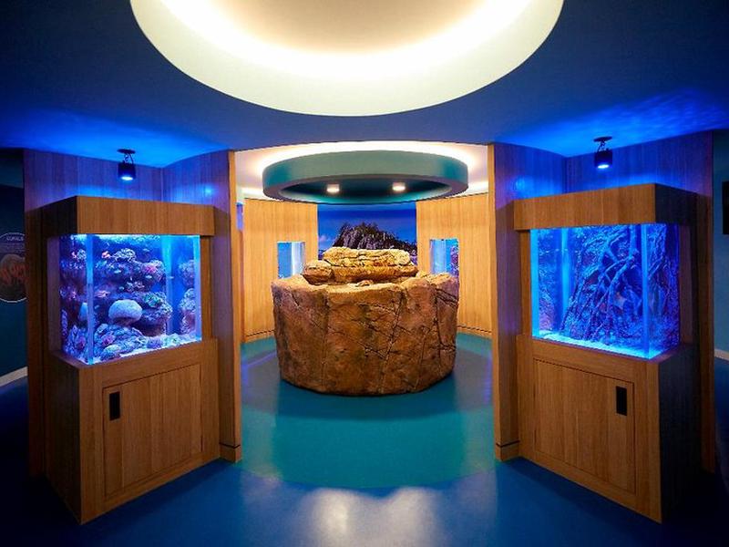 E91DD83052F76B5C04D7D6CBAC153C83