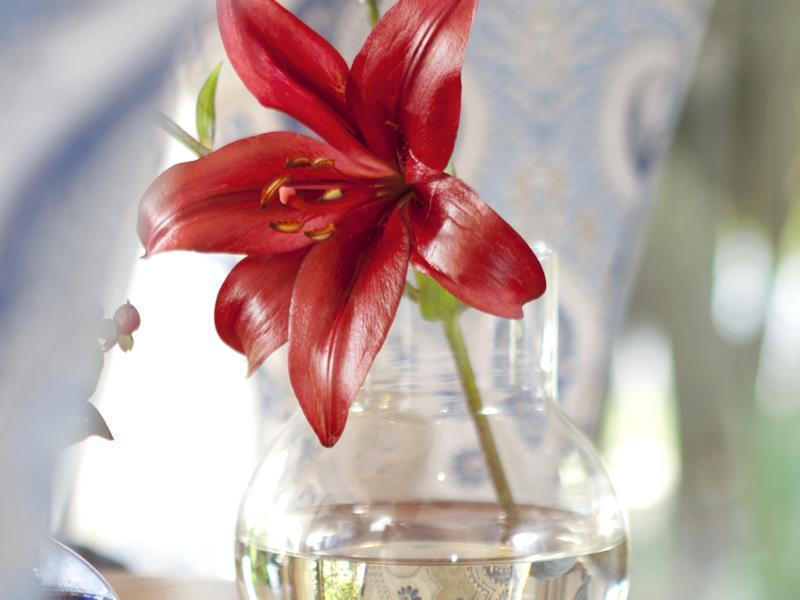 08AF4D4E9E9D605A6B86CA37D92698BE