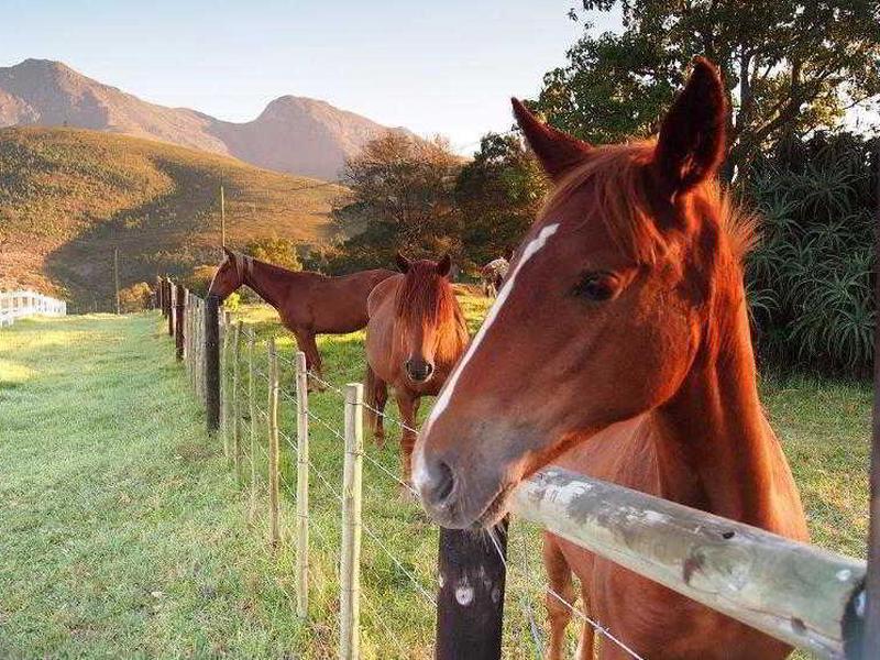 62C001E8D12565D2BBAAB5CAE0D4D90C