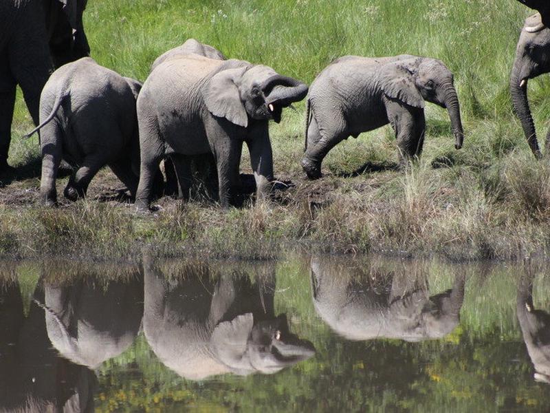 A7CA89C7CC50166D1FA8B711E03198B7