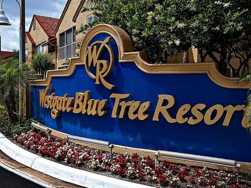 0049C357A9024A04B90FF5CE46FEB482