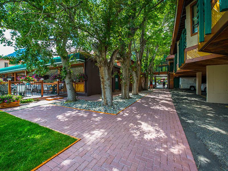 AA231E675333433CF6B861759DDAFF72