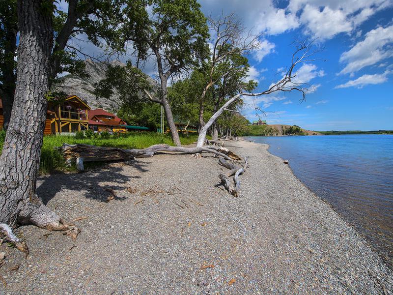 0003E71E778C51B7AEF1984061DEEDAA