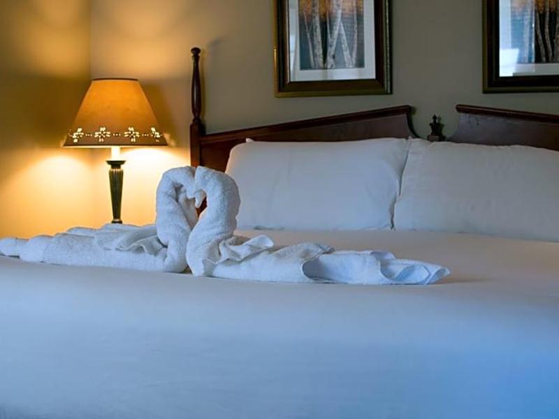 D8BDD9600477971DC94DA019920D2747