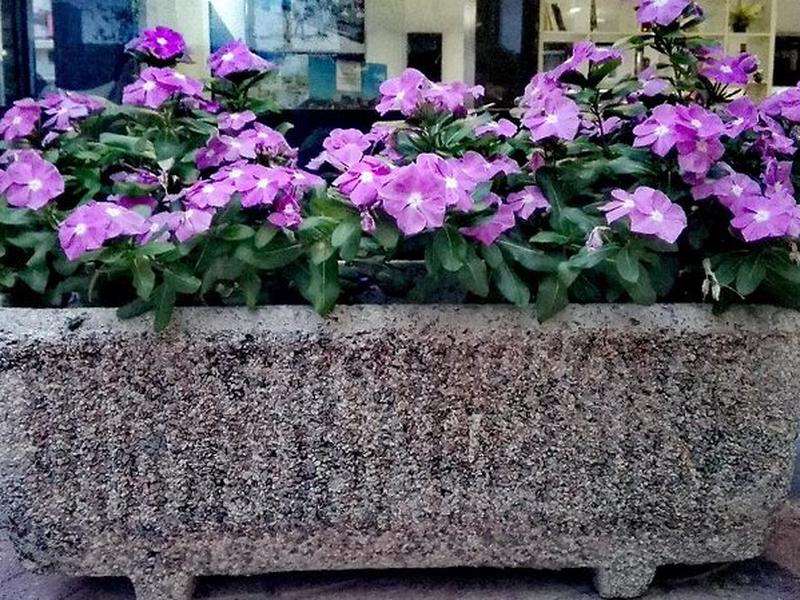 184B993BB53B235179520455FB6A7833