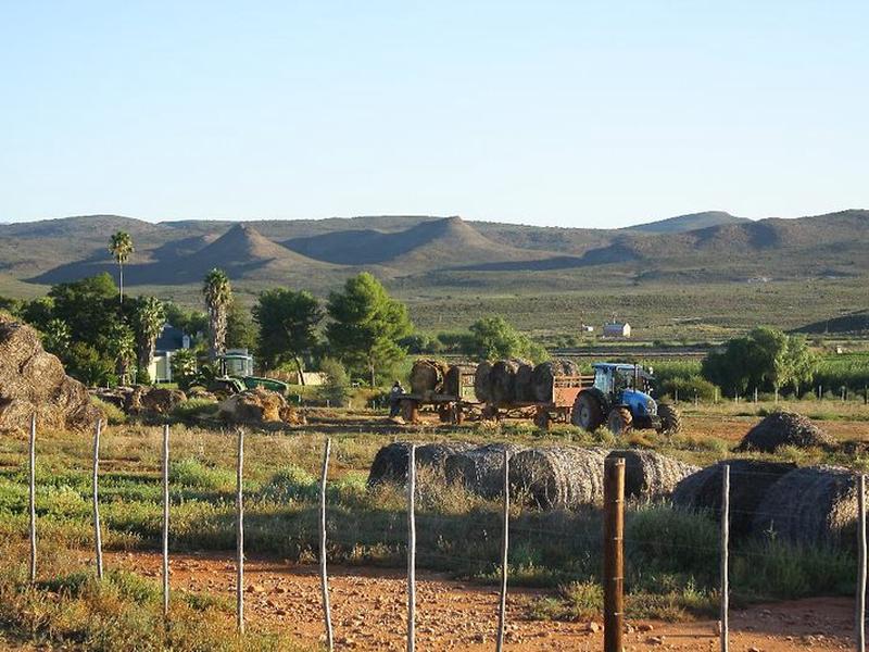 E8DBF762C6DED3DFF218CC6291F8A701