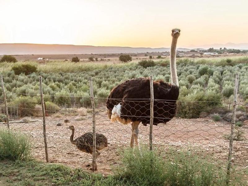 280F9F6C5E172D4E315D32F64DA0D411