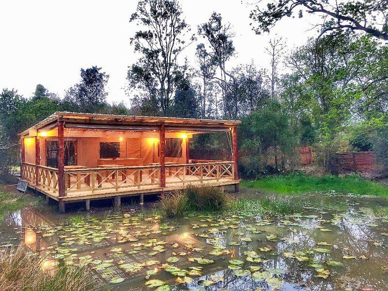 451C88AA3E1E4196B4890CA3F7EE1B49