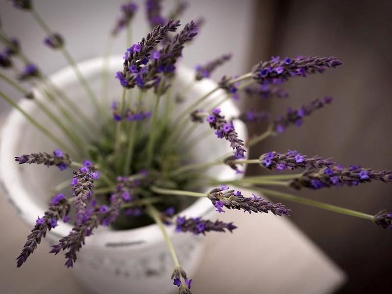 722D2032B18837B15410B6BA7C08E53C