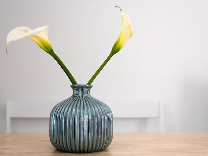 FA5B7DC770BF016408605C2A222E4E29