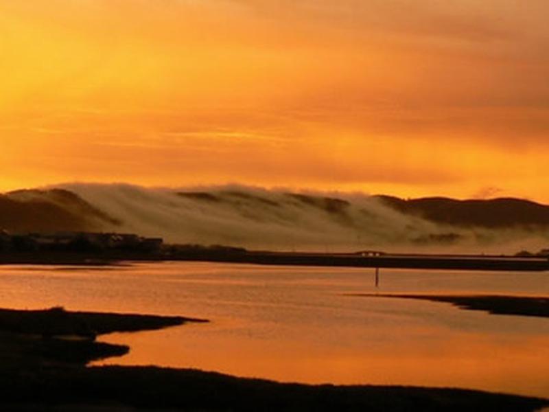 8D19908CCD31A19C44A1FDAE7DBC73F4