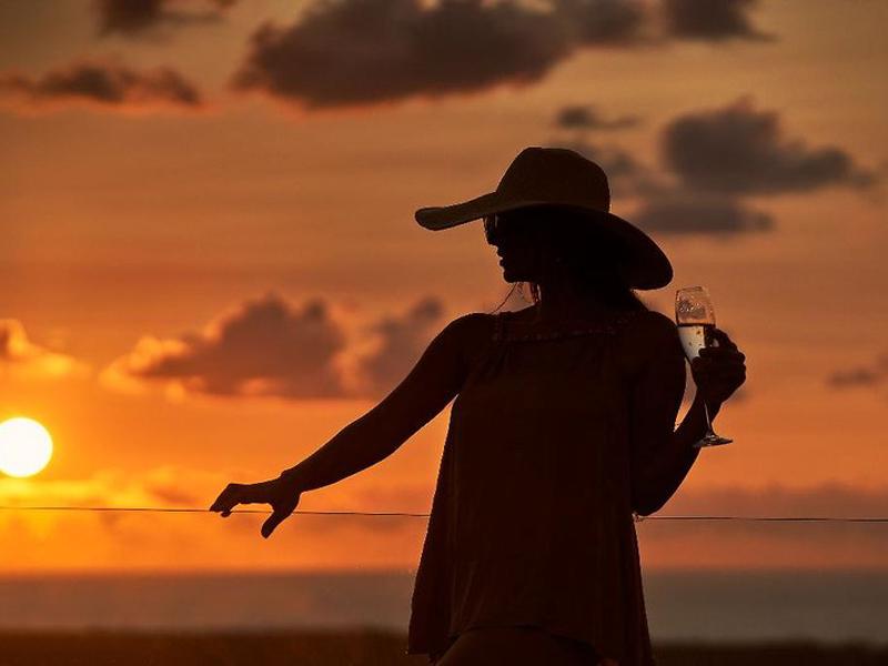 0D831577FFB707A7C26827DA2584A564