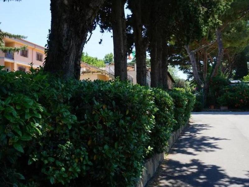 ED765A679A2BD0AF4C308AEBD61635EE