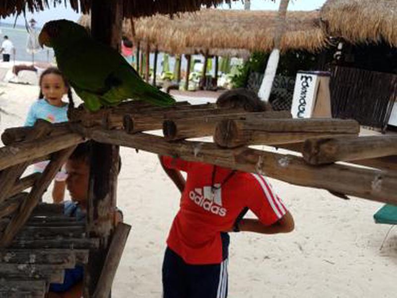 F71CF0DC149A4235CBC593BD9023FDB5