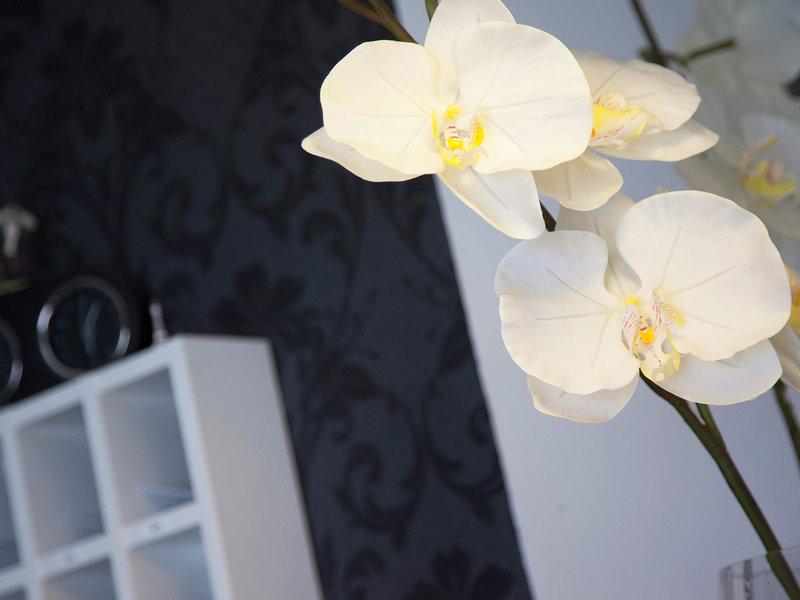 5E9C4282E62453CC311475DBC549D2F1