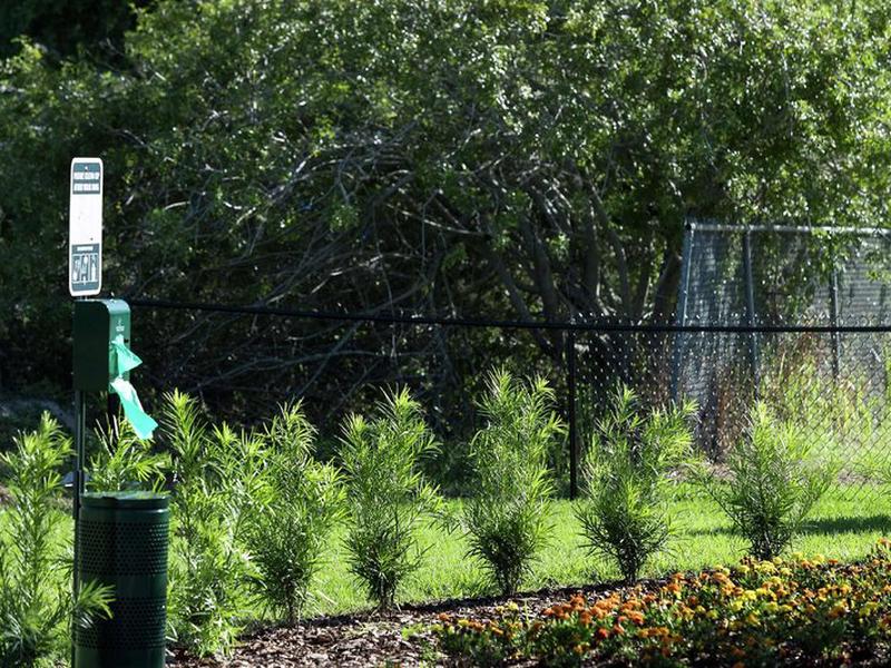 5AC1DBD0FFB8D791A2320517E2A8FC8C