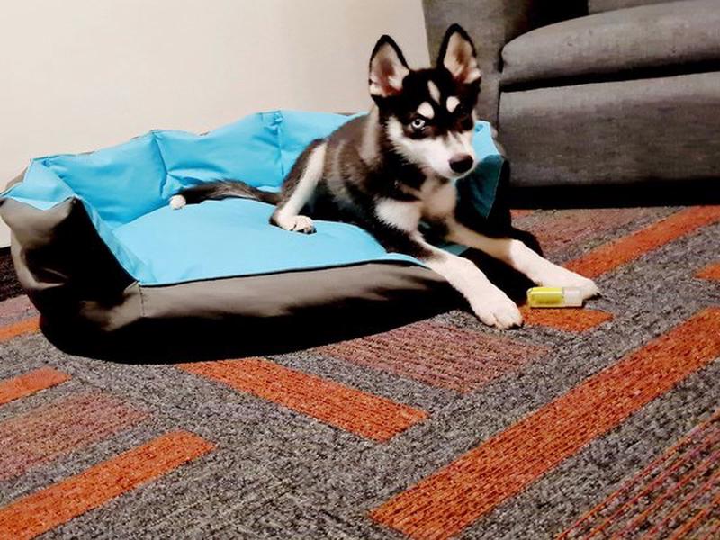 37FED84B2844BCDB0AA29336801E11F2