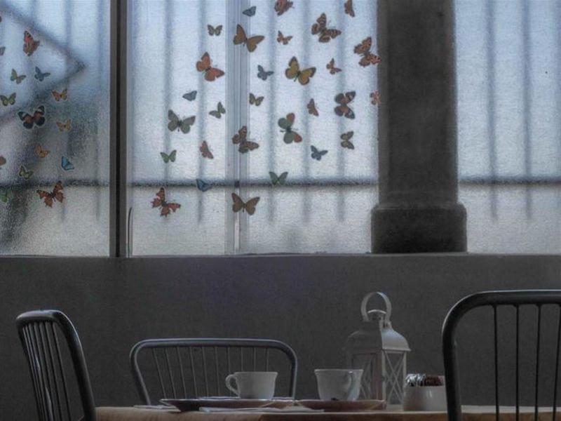 B667E255091504594E6A108C10E8DEA5