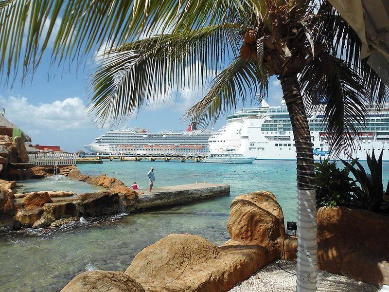 94CC654701DB6C481C737B299FDE70FC