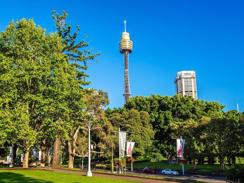 6AE6C1203574E9DE840EA877925C39D5