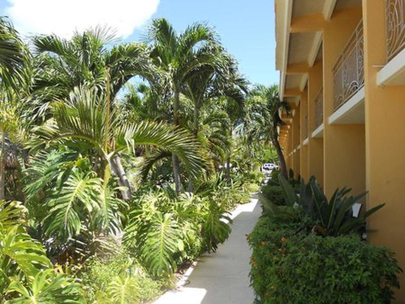 4172C573A4E0B2C74A1AA31117EBE18A